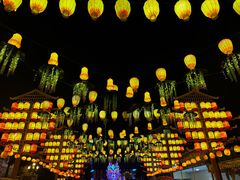-国色天乡三期陆地乐园