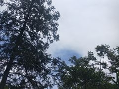 -海南热带雨林国家公园吊罗山景区