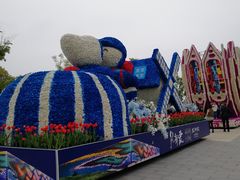 -荷兰花海