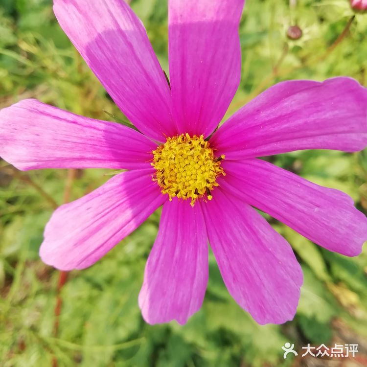 河的东岸新建了一个很大的公园,虽然没有命名