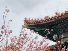 -珠海圆明新园