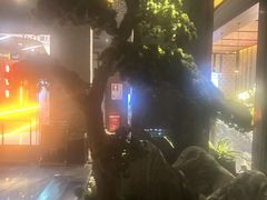 -江南足纪·影院足道·轻奢SPA(笋岗HALO广场店)