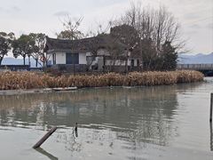 -晓琦农家菜馆·地道农家菜