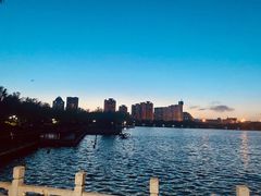 -莲花池公园