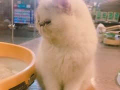 -宠物世家(仲盛世界商城店)