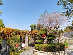 -广州神农草堂中医药博物馆