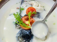-全乐鱼馆·淳牌有机鱼直营店