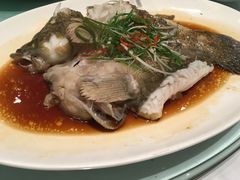 笋壳鱼-上海会馆(香港名都店)