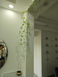 -Moyue HAIR SALON