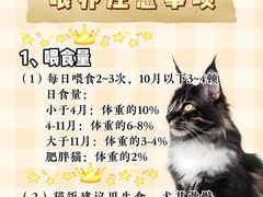 -翊宠yipet猫狗购宠庄园犬舍•猫舍