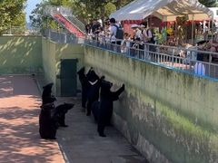 -西霞口神雕山野生动物世界