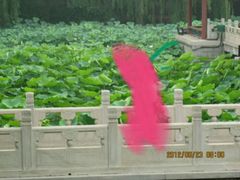 android_upload_pic-大明幻境第一城