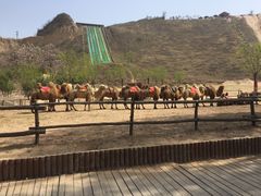 -古柏渡飞黄旅游区