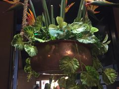 -云海肴·汽锅鸡·云南菜(天津国金汇店)