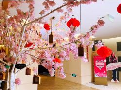 -爱弥儿月子中心(省医院店)
