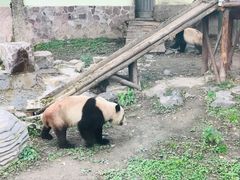 -上海野生动物园
