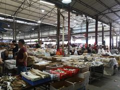 -细村农贸综合市场
