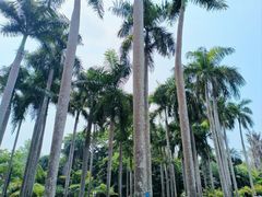 -中国科学院西双版纳热带植物园