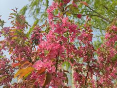 -元大都城垣遗址公园