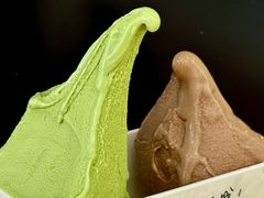 -野人先生Gelato(上海长宁龙之梦店)