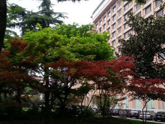 android_upload_pic-上海延安饭店