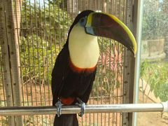 -南宫五洲植物乐园