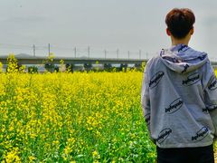 -光明小镇欢乐田园