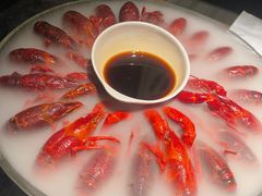 -红盔甲·小龙虾(长寿路店)
