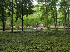 -徐家汇源景区-衡山公园