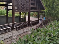 -活水公园