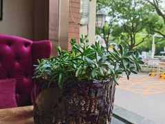 -上島咖啡(安亭店)