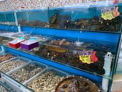 水产区-港畔赶海蒸汽海鲜烧烤自助(仙螺岛店)