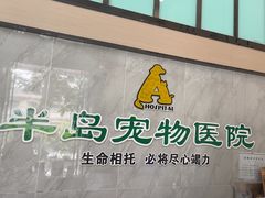-半岛宠物医院24小时(科华中路店)
