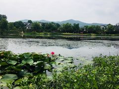 -石塘人家