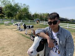 -杭州湾海上花田景区