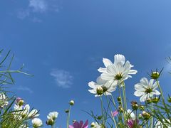 -漩门湾国家湿地公园