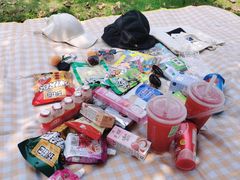 -南宁良凤江国家森林公园