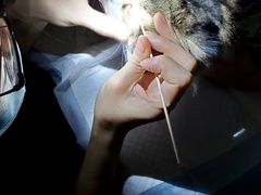 -美联众合动物医院·24h转诊中心