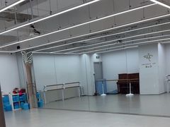 -红舞鞋舞蹈教育(近江校区)