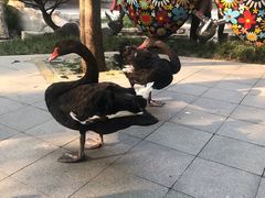 -西安曲江寒窑遗址公园