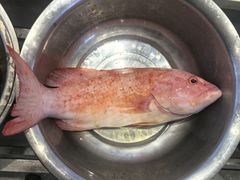 -北塘海鲜·天津菜(大光明桥旗舰店)