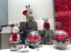 -ROSEONLY诺誓(广州K11店)