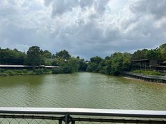 -河川生态园