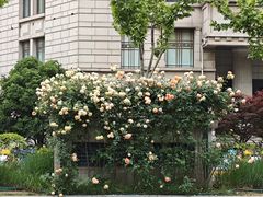 -上海市虹口区图书馆(曲阳分馆)