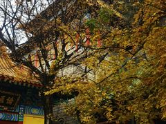 -千佛山风景名胜区