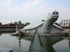 -东方巨龟苑景区