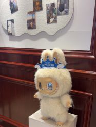 -南京医科大学友谊整形外科医院