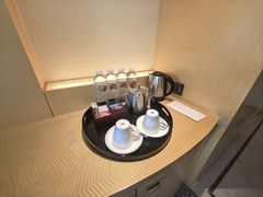 -广州白天鹅宾馆