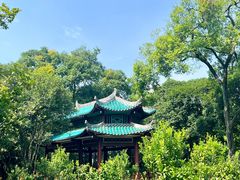 -柳侯公园