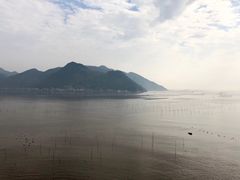 -北岐滩涂